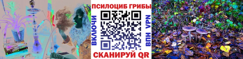 Галлюциногенные грибы Psilocybine cubensis  Мончегорск 